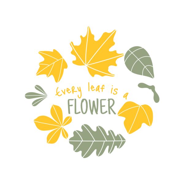 Fall Season 13 Thumbnail